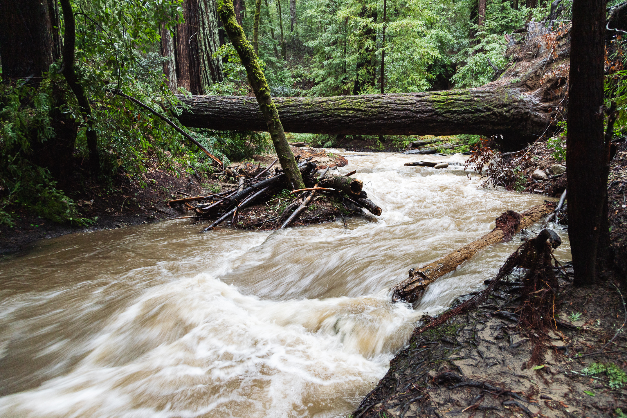 Fall Creek swollen with rain